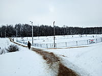 Малый пруд. 10 января 2025 (пт).