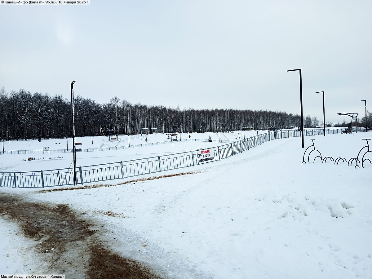 Малый пруд. 10 января 2025 (пт).