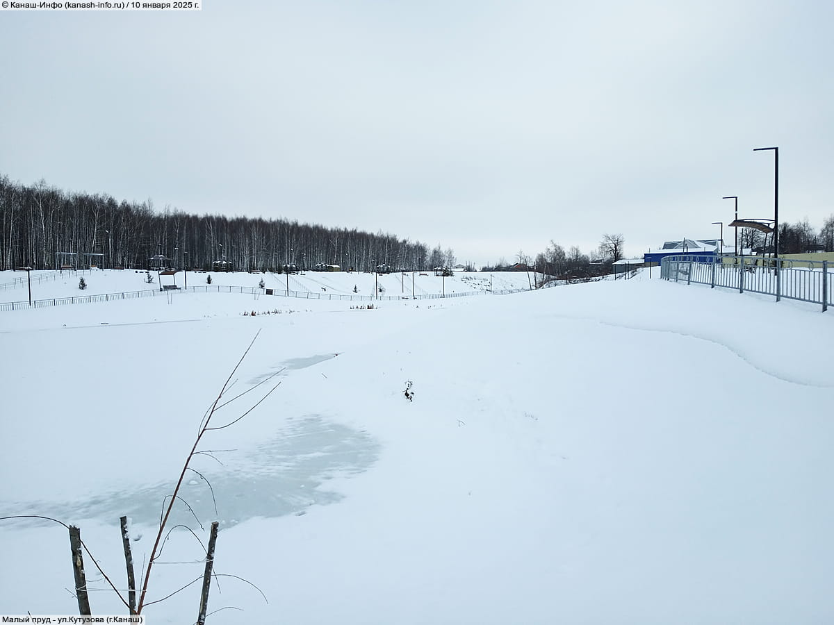 Малый пруд. 10 января 2025 (пт).