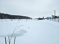 Малый пруд. 10 января 2025 (пт).