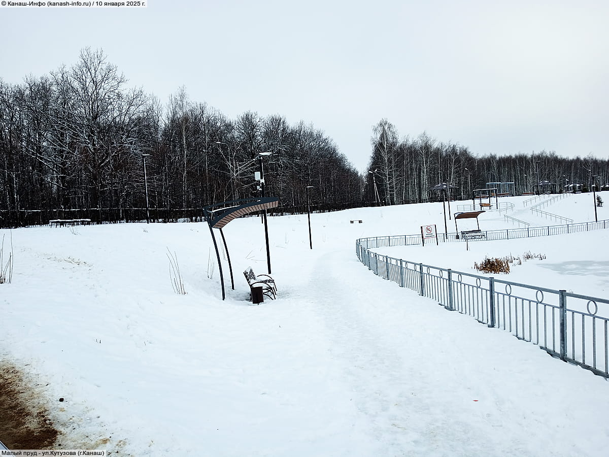 Малый пруд. 10 января 2025 (пт).