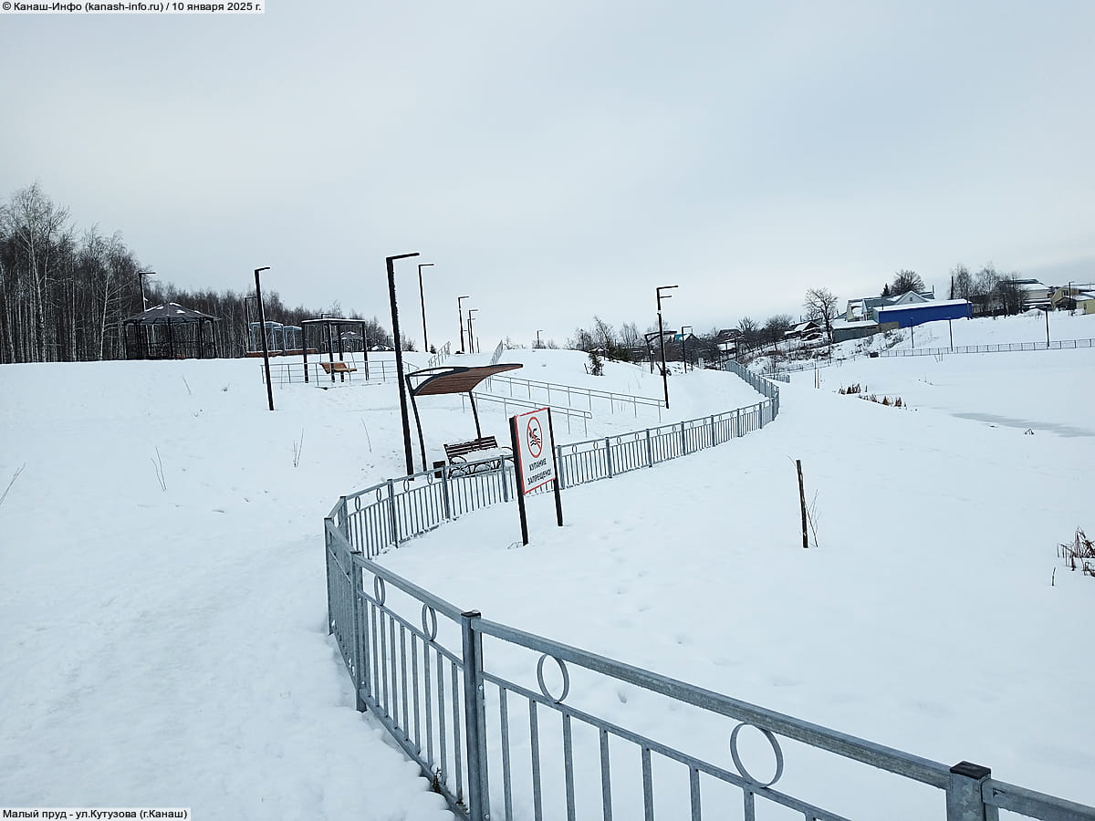 Малый пруд. 10 января 2025 (пт).