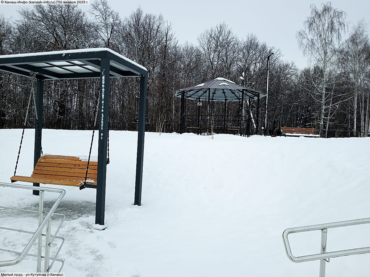 Малый пруд. 10 января 2025 (пт).