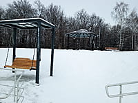 Малый пруд. 10 января 2025 (пт).