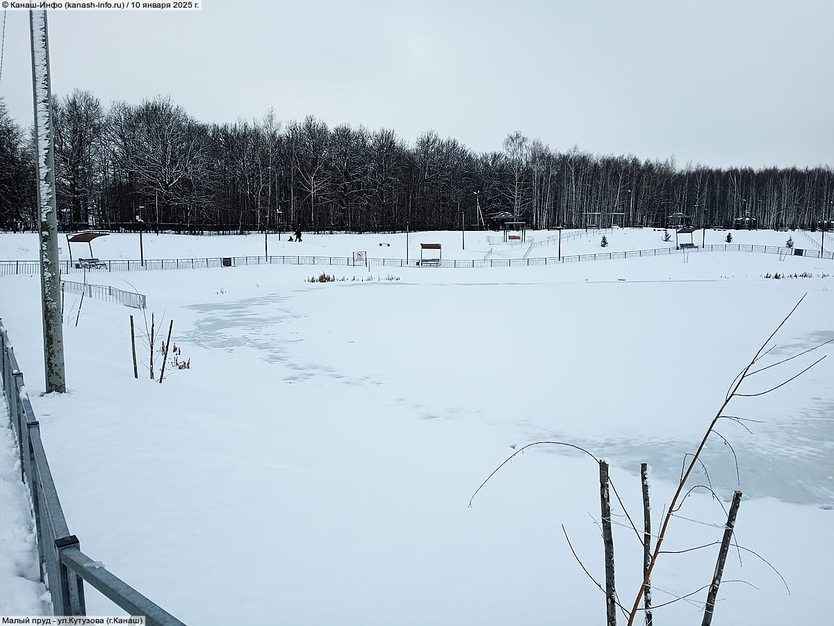 Малый пруд. 10 января 2025 (пт).