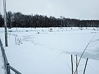 Малый пруд. 10 января 2025 (пт).