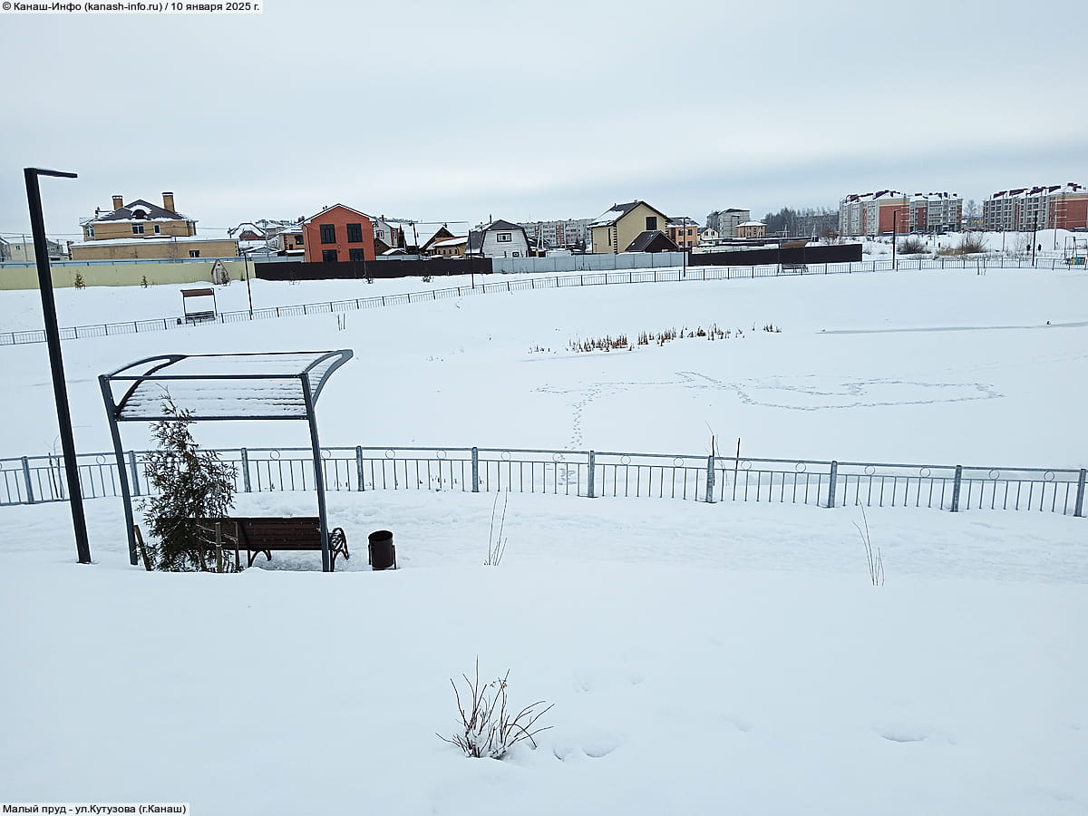 Малый пруд. 10 января 2025 (пт).