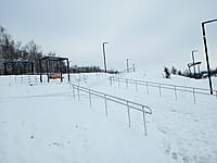 Малый пруд. 10 января 2025 (пт).