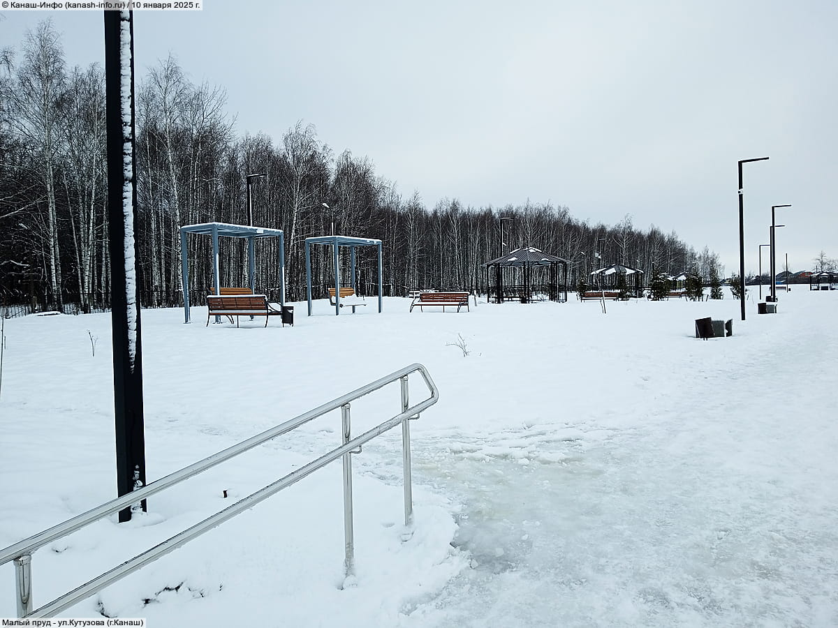 Малый пруд. 10 января 2025 (пт).