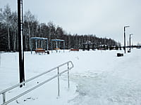 Малый пруд. 10 января 2025 (пт).