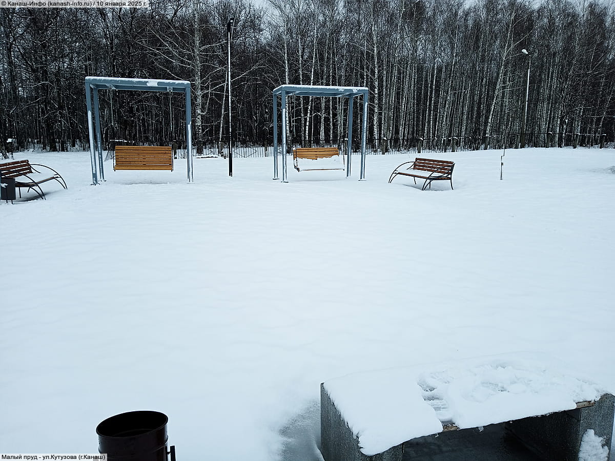 Малый пруд. 10 января 2025 (пт).