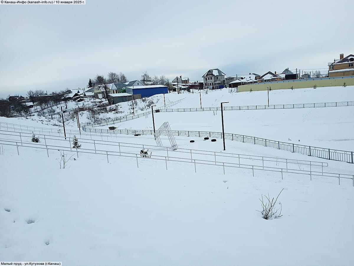 Малый пруд. 10 января 2025 (пт).