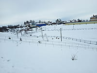 Малый пруд. 10 января 2025 (пт).