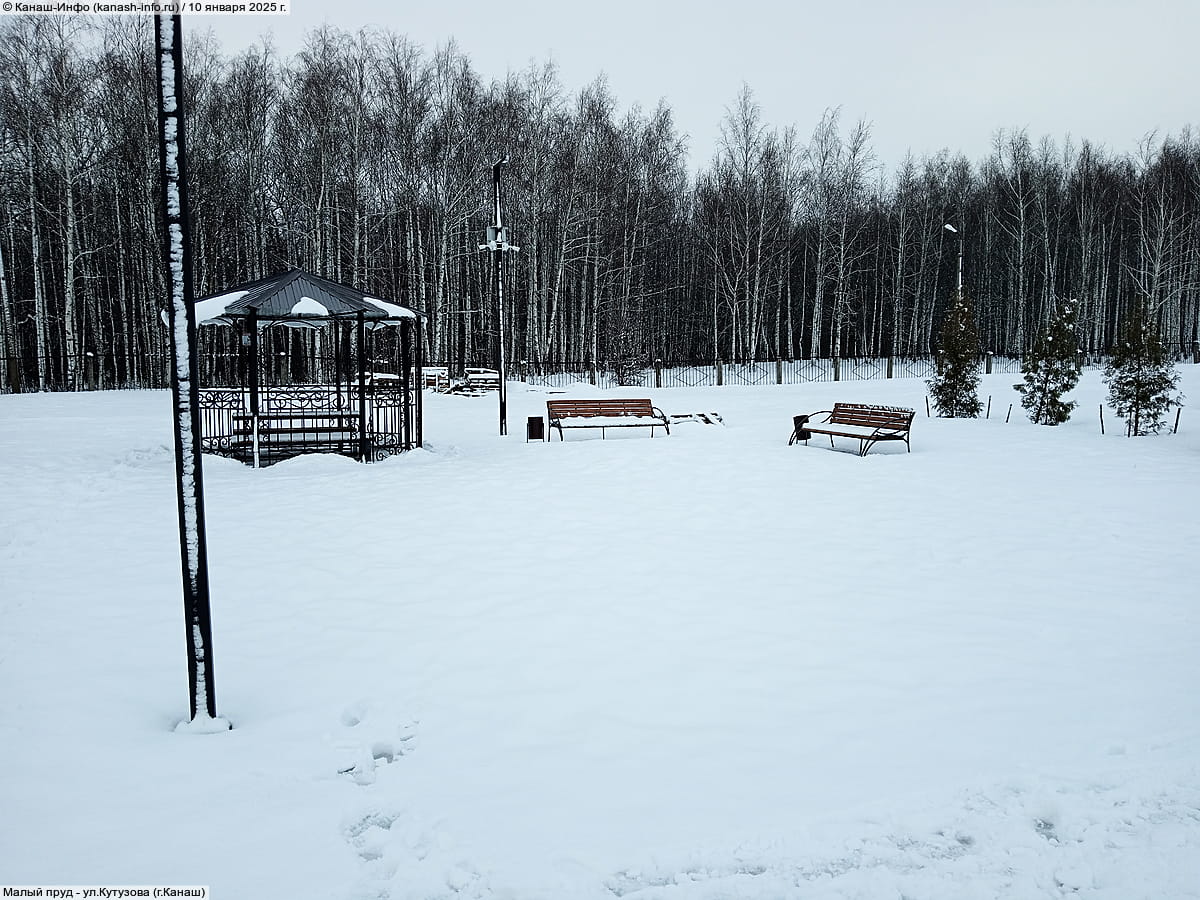 Малый пруд. 10 января 2025 (пт).