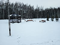 Малый пруд. 10 января 2025 (пт).