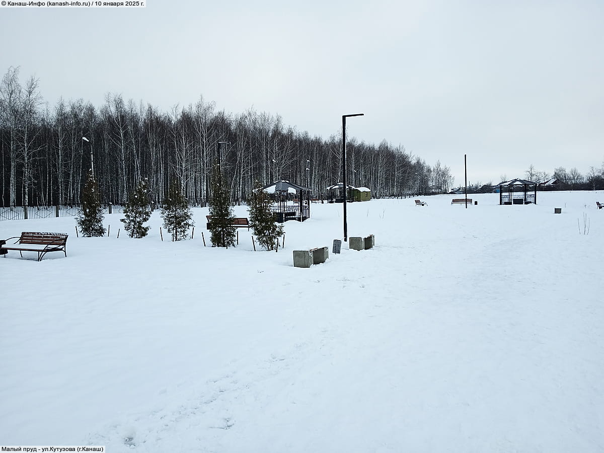 Малый пруд. 10 января 2025 (пт).