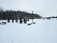 Малый пруд. 10 января 2025 (пт).