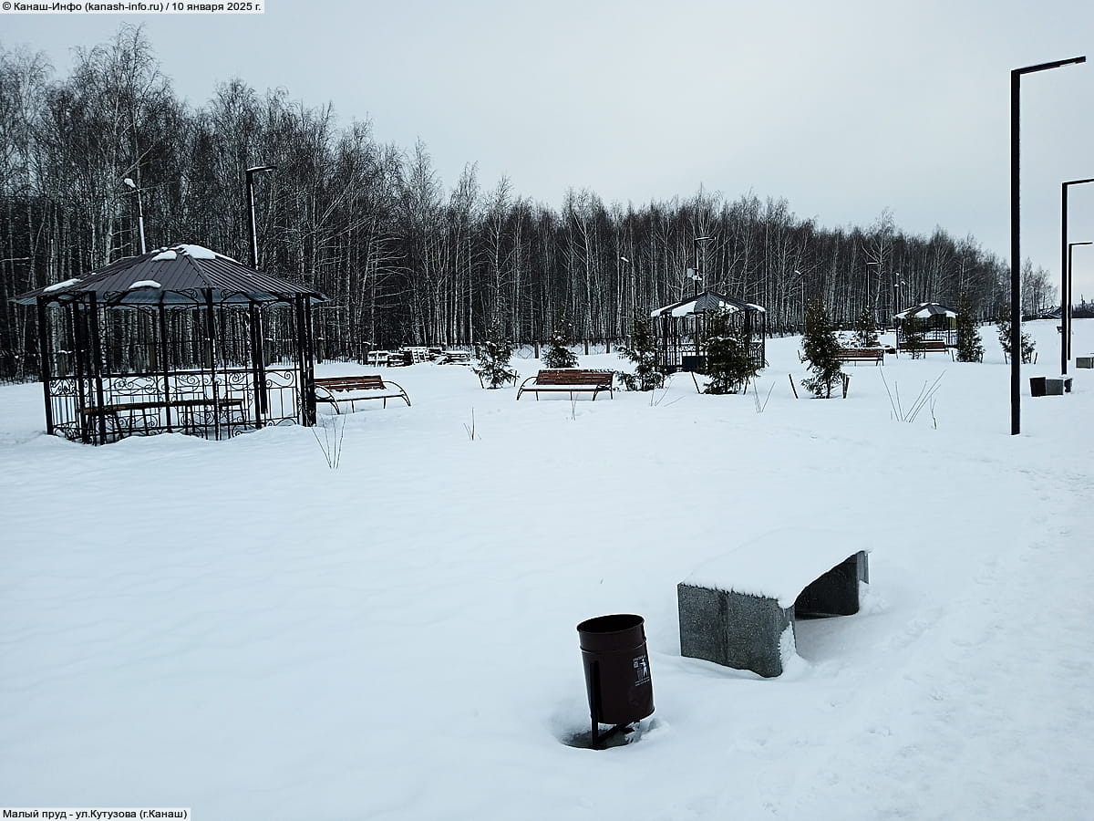 Малый пруд. 10 января 2025 (пт).