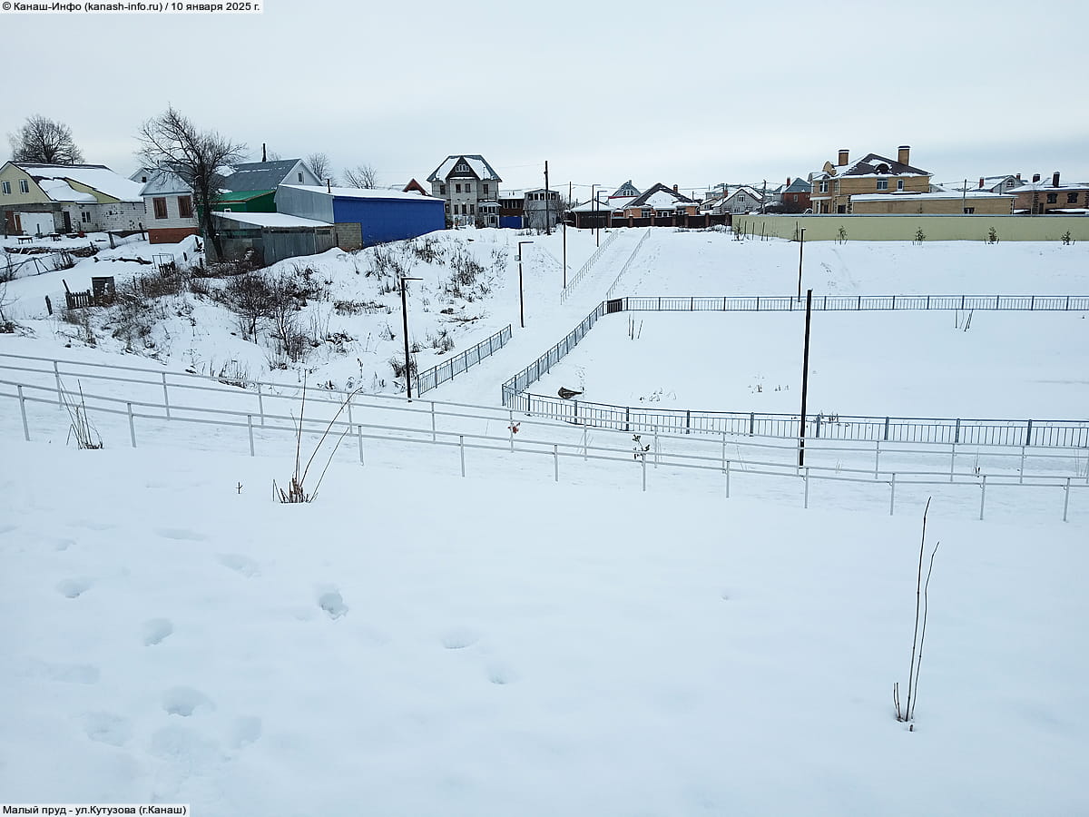 Малый пруд. 10 января 2025 (пт).