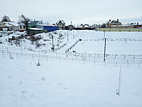 Малый пруд. 10 января 2025 (пт).