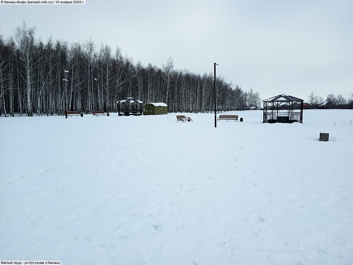 Малый пруд. 10 января 2025 (пт).