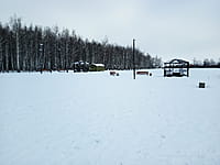 Малый пруд. 10 января 2025 (пт).