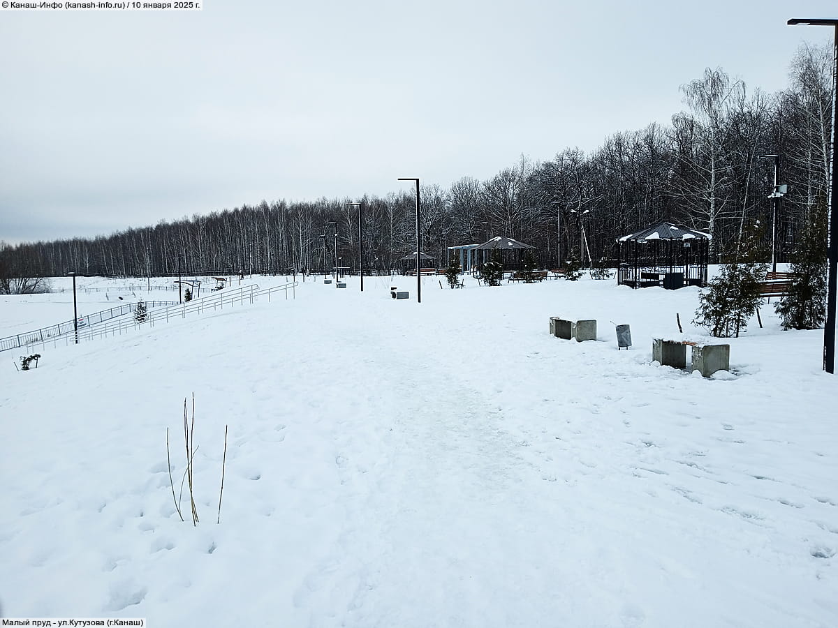 Малый пруд. 10 января 2025 (пт).