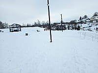 Малый пруд. 10 января 2025 (пт).