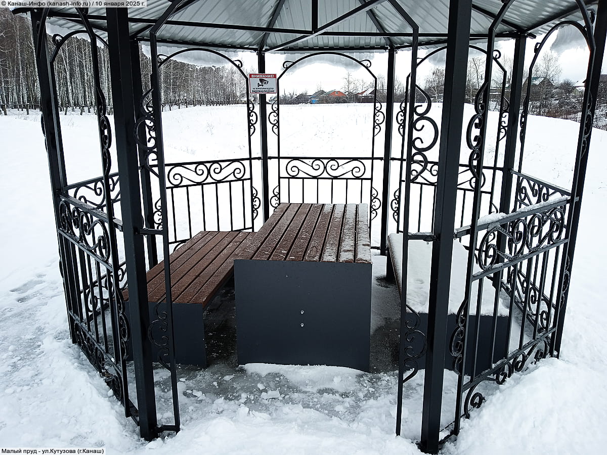 Малый пруд. 10 января 2025 (пт).