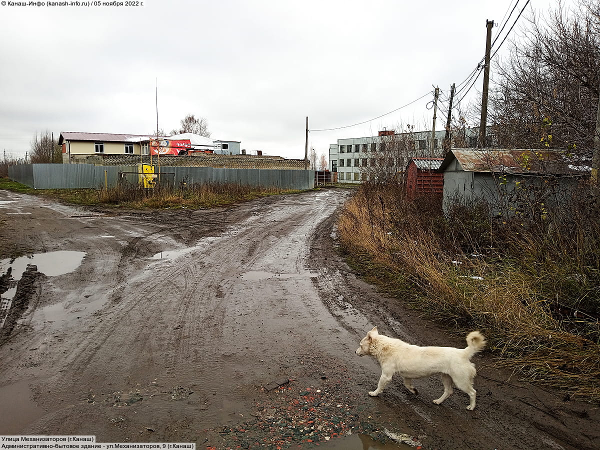 Улица Механизаторов (г. Канаш). 05 ноября 2022 (сб).