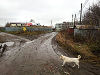 Улица Механизаторов (г. Канаш). 05 ноября 2022 (сб).