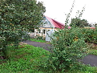 Индивидуальный жилой дом с участком. 25 августа 2025 (пн).