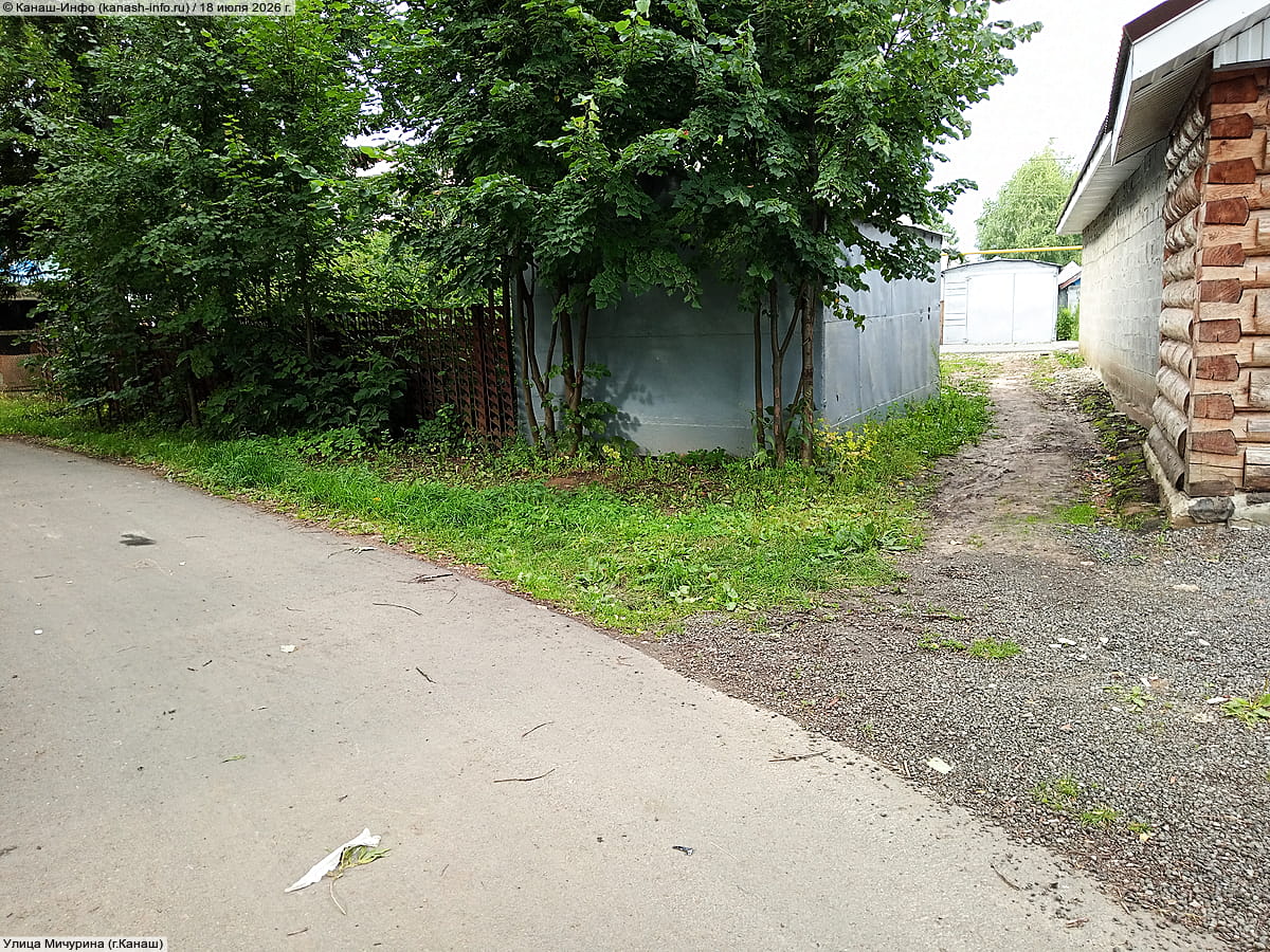 Улица Мичурина . 18 июля 2026 (сб).