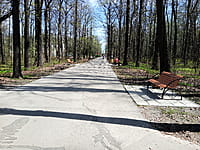 Городской парк культуры и отдыха. 25 апреля 2024 (чт).