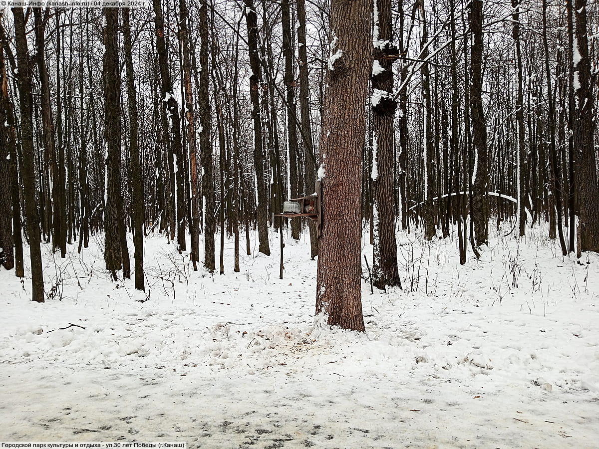 Городской парк культуры и отдыха. 04 декабря 2024 (ср).