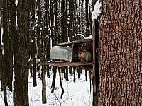 Городской парк культуры и отдыха. 04 декабря 2024 (ср).