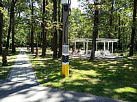 Городской парк культуры и отдыха. 14 июля 2024 (вс).