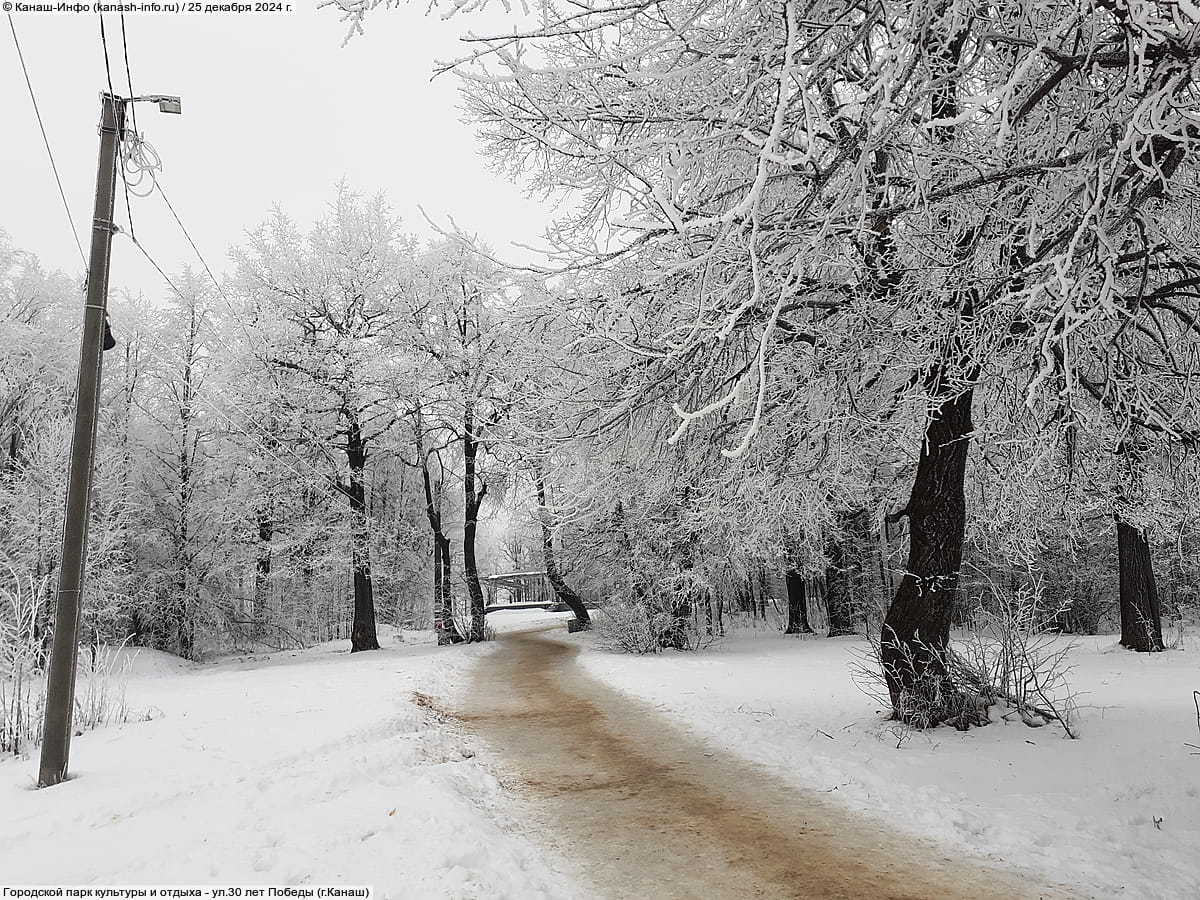 Городской парк культуры и отдыха. 25 декабря 2024 (ср).
