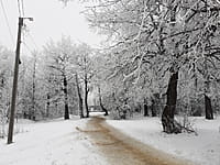 Городской парк культуры и отдыха. 25 декабря 2024 (ср).