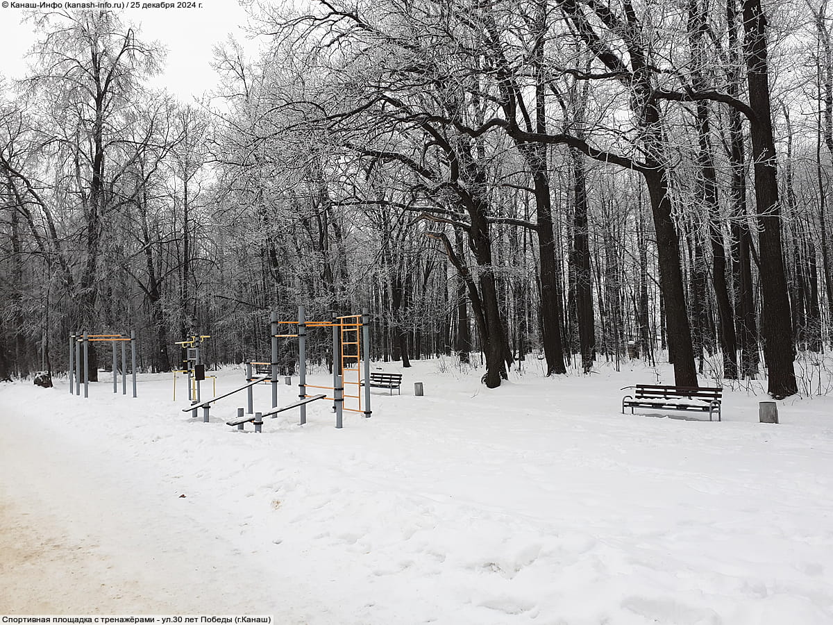 Городской парк культуры и отдыха. 25 декабря 2024 (ср).