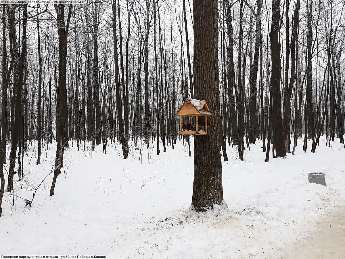 Городской парк культуры и отдыха. 25 декабря 2024 (ср).