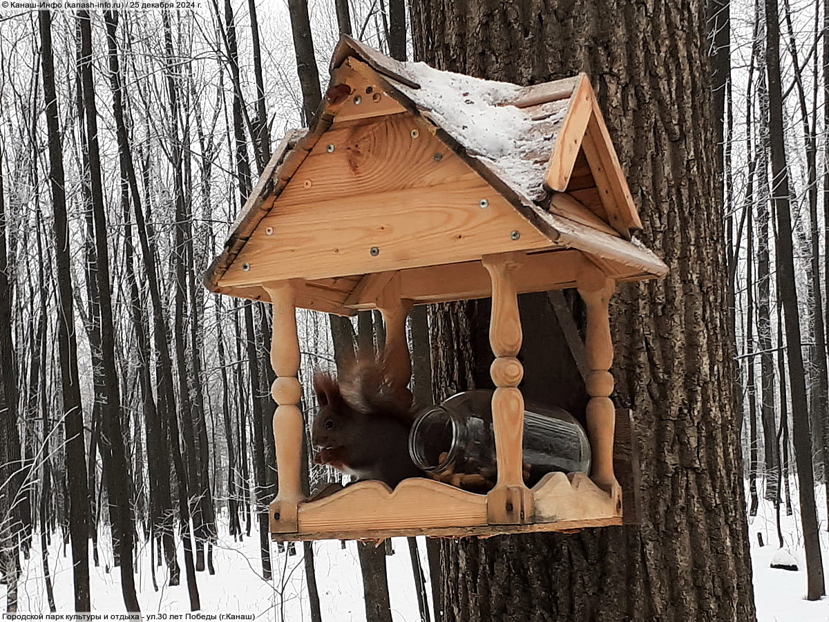 Городской парк культуры и отдыха. 25 декабря 2024 (ср).