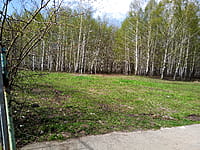 Городской парк культуры и отдыха. 25 апреля 2024 (чт).