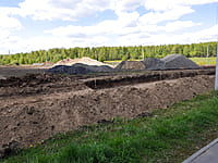 Городской парк культуры и отдыха. 13 мая 2025 (вт).