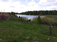 Городской парк культуры и отдыха. 13 мая 2025 (вт).