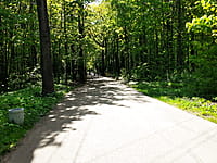 Городской парк культуры и отдыха. 13 мая 2025 (вт).