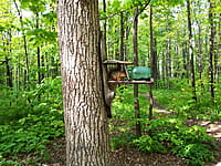 Городской парк культуры и отдыха. 13 мая 2025 (вт).