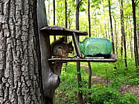 Городской парк культуры и отдыха. 13 мая 2025 (вт).