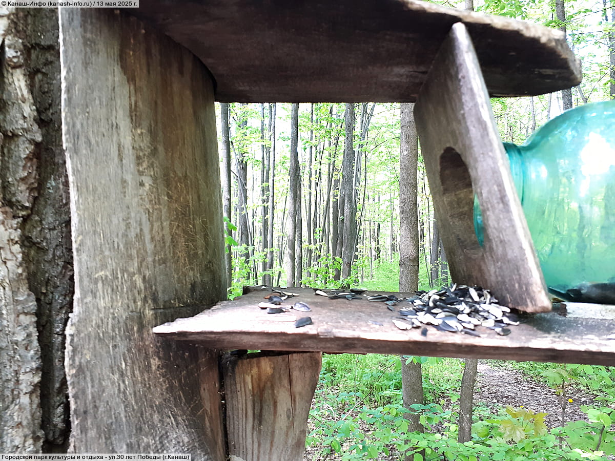 Городской парк культуры и отдыха. 13 мая 2025 (вт).