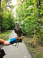 Городской парк культуры и отдыха. 22 августа 2025 (пт).